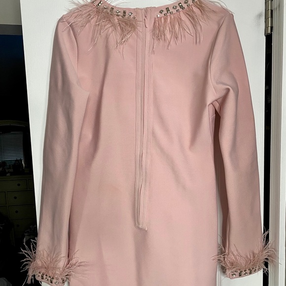 Fashion Nova Dress - Picture 4 of 7